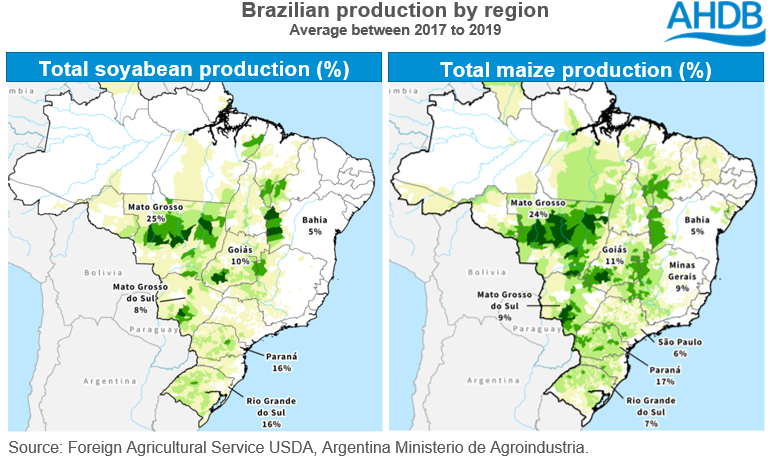Brazilian production maps for maize and soyabeans